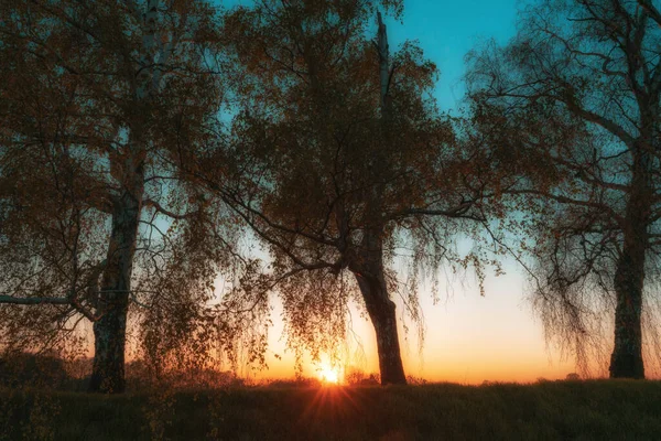 Красочный восход солнца на широком поле — стоковое фото