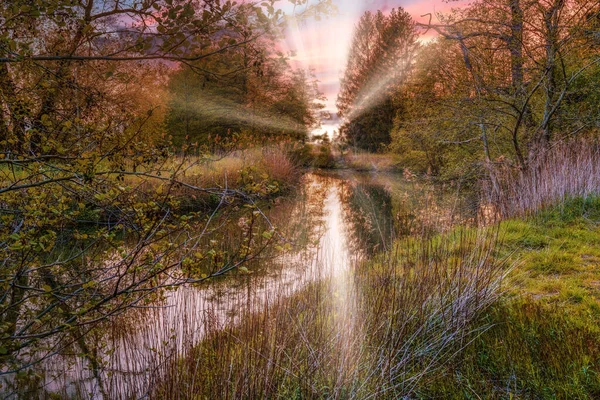 A purple sunset on a small river in the middle of the forest