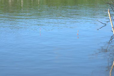 Rusya, kırsal araziler, kiliseler Nikita Ponizovkin tarafından karısı için 17. yüzyılda inşa edilmiş şato şeklindeki binaları restore etti..