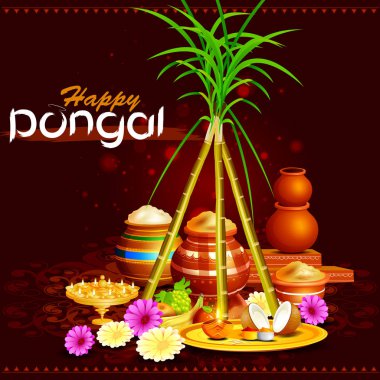 Tamil Nadu Hindistan 'ın Mutlu Pongal Festivali