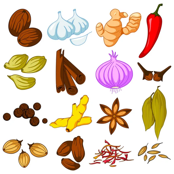 Différentes variétés d'épices utilisées en cuisine — Image vectorielle