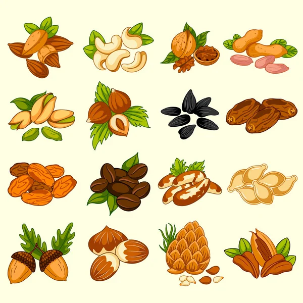 Verschiedene Sorten von Trockenfrüchten und Nüssen — Stockvektor