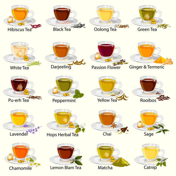 Diferente variedad de té de hierbas y medicinales — Archivo Imágenes Vectoriales