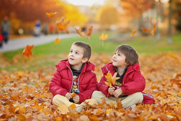Two kids, boy brothers, playing with leaves in autumn park — Stock Photo, Image