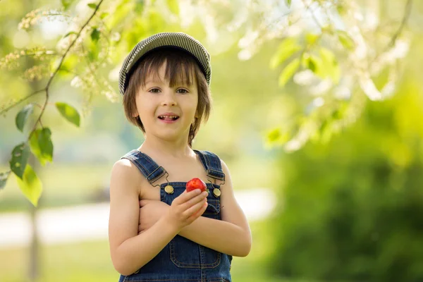Niedliche schöne Kind, Junge, essen Erdbeeren und im Park — Stockfoto