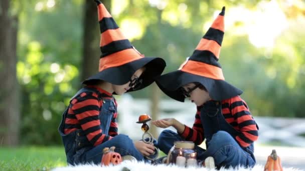 楽しいハロウィーンの衣装、公園で二人の少年 — ストック動画