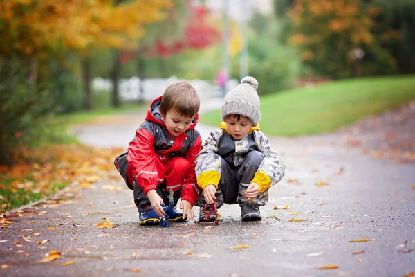 Two children, playing with toys in the park on a rainy day — Stock Photo, Image