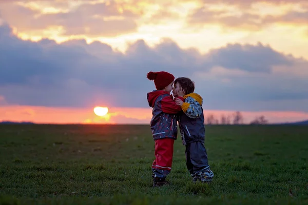 Two adorable children, boy brothers, watching beautiful splendid — Stock Photo, Image