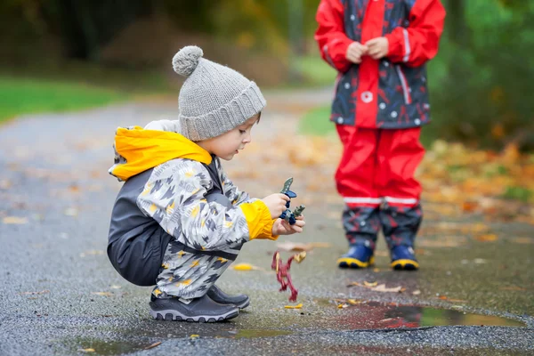 Doce criança, menino, brincando no parque em um dia chuvoso — Fotografia de Stock