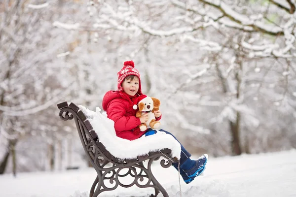Очаровательный маленький ребенок, мальчик, играет в снежном парке, держит Теда — стоковое фото