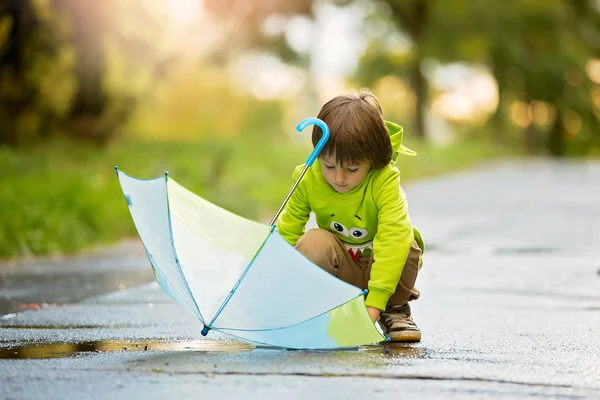 Adorable niño pequeño con paraguas en un parque en un día lluvioso, jugar —  Fotos de Stock