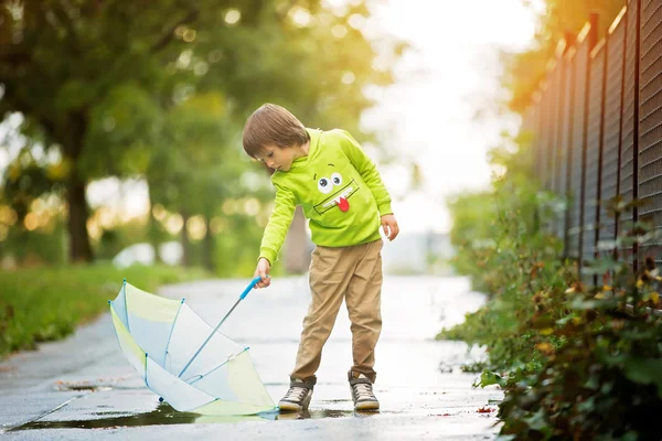Adorable niño pequeño con paraguas en un parque en un día lluvioso, jugar —  Fotos de Stock