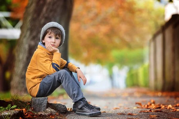 Retrato de outono de belo menino no parque — Fotografia de Stock
