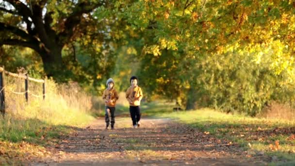 Twee kinderen, jongens, wandelen aan de rand van een meer op een zonnige herfst middag, mooie landelijke pad in het park, mooie herfst kleuren — Stockvideo