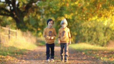 İki çocuk, çocuklar, bir göl güneşli bir sonbahar öğleden sonra parkta güzel sonbahar renkleri güzel kırsal yol kenarında yürüyüş