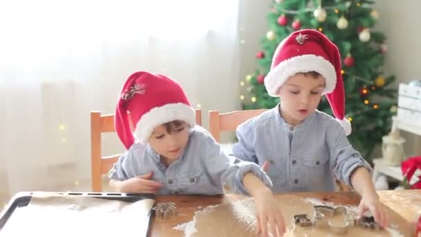 Dos chicos lindos con sombrero de santa, preparando galletas en casa, árbol de Navidad detrás de ellos — Vídeo de stock