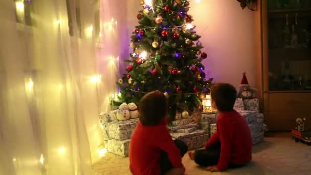 Schattige kinderen in pyjama, kijken naar de verlichting van de kerstboom op kerstavond — Stockvideo