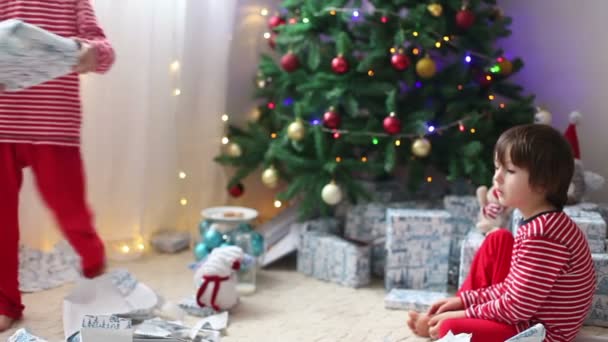 Bonitos meninos, crianças pré-escolares, abrindo presentes no dia de Natal — Vídeo de Stock