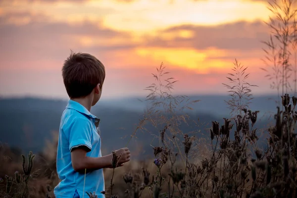 Wunderschönes Kind, Junge, im Sonnenuntergang auf einem Blumenfeld stehend — Stockfoto