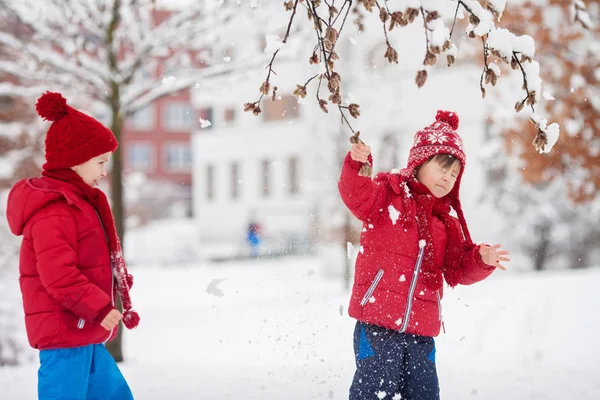 Δύο λατρευτά παιδιά, αδέλφια αγόρι, παίζοντας σε ένα χιονισμένο πάρκο, Χο — Φωτογραφία Αρχείου