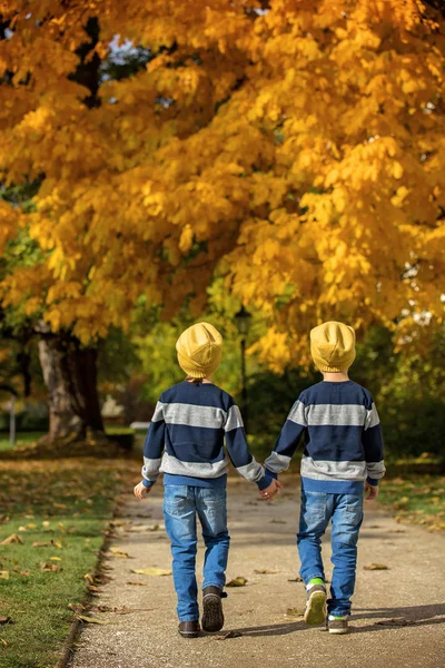 Dos hermosos niños, hermanos, caminando por un sendero en la belleza —  Fotos de Stock