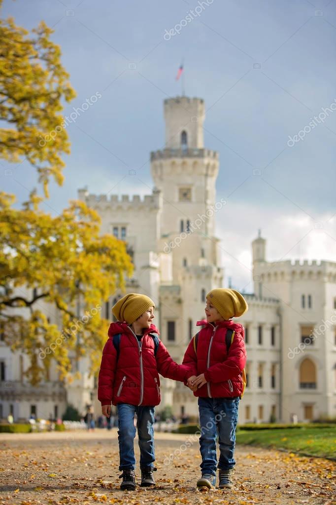 Two beautiful children, boy brothers, walking on a path in beaut Stock ...