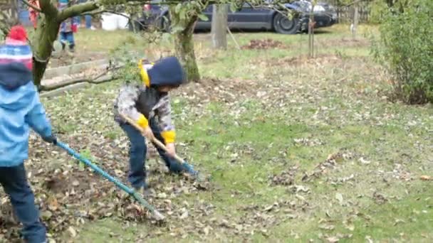 Niños pequeños, niños, rastrillando hojas en el jardín — Vídeos de Stock