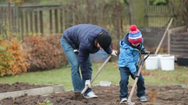 Πατέρας και γιος, εργάζονται μαζί σε κήπο, autumntime, φτυαρίζει το χώμα για το χειμώνα — Αρχείο Βίντεο
