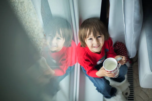 Rozkošný malé předškolní dítě, chlapec, konzumní mléko, sedí na — Stock fotografie