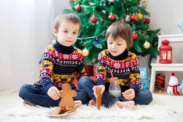 Duas crianças adoráveis, irmãos meninos, comer biscoitos e beber — Fotografia de Stock