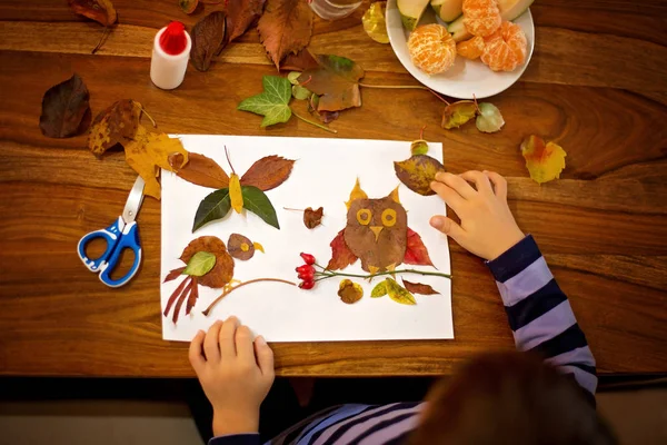 甘い子, 少年, 芸術をしながら接着剤を使用して葉を適用します。 — ストック写真
