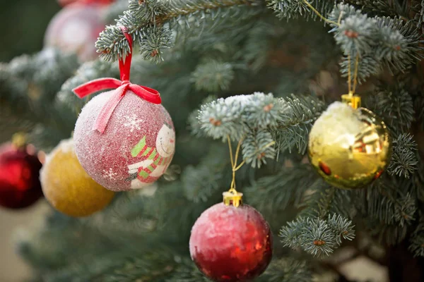 Decorazione natalizia su un albero di Natale gelido all'inizio del mese — Foto Stock