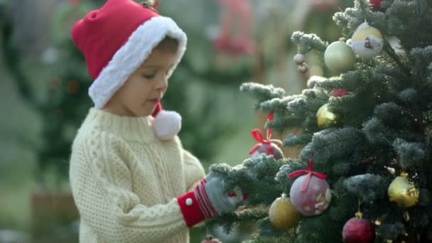 Beautiful school child, boy, decorating Christmas tree on a frosty morning, outdoors, smiling at camera — Stock Video