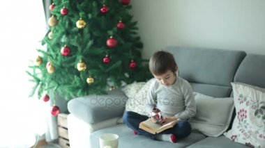 Sevimli okul çocuğu, çikolata yeme ve yılbaşında evde kitap okurken