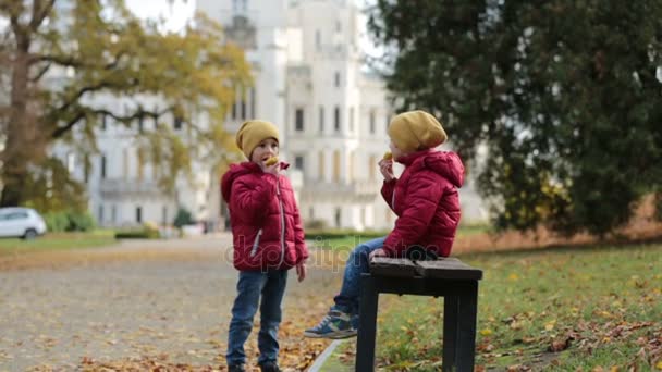 Two beautiful children, boy brothers, sitting on bench in beautiful renaissance castle Hluboka in the Czech Republic — Stock Video