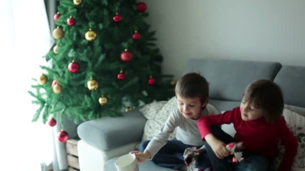 Zwei süße Kinder, zu Hause Schoko-Weihnachtsmann essen, glückliche Kinder an Weihnachten — Stockvideo