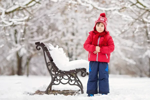 Deux adorables enfants, garçons frères, jouant dans un parc enneigé, ho — Photo