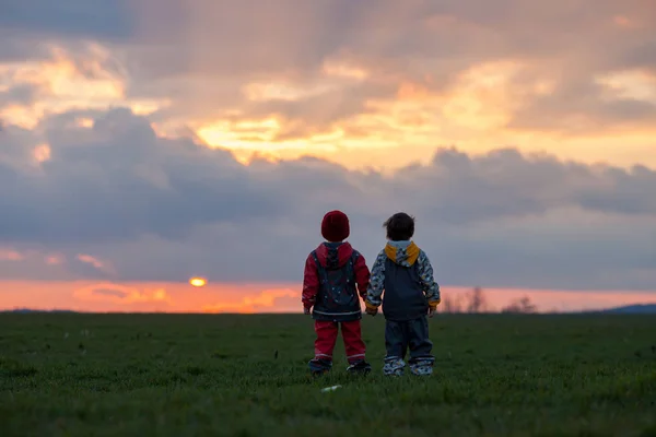 Двоє чарівних дітей, брати-хлопчики, дивляться красиві чудові — стокове фото