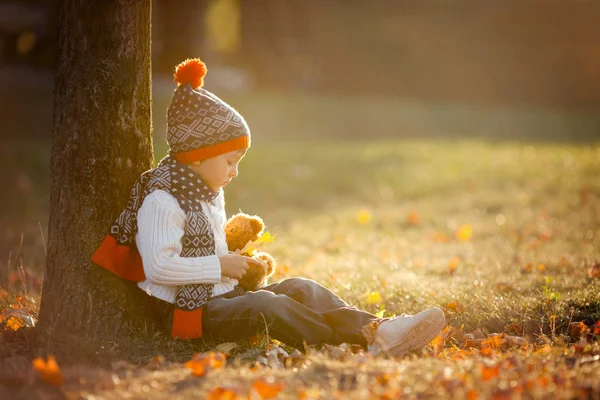 Adorable little boy with teddy bear in park on autumn day — Stock Photo, Image