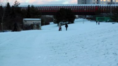 İki çocuk, erkek kardeşler, kar, kış, mutluluk kavramı Bob'la kayar
