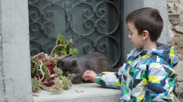 Маленька дитина, пестить і пестить милий кіт, зима — стокове відео