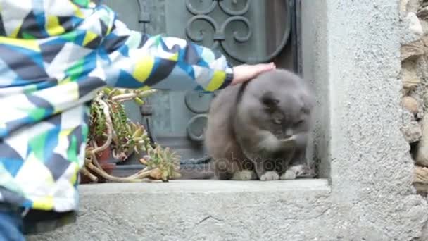 Små barn, smekande och petting söt katt, vintern — Stockvideo