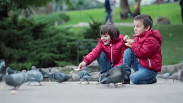 Twee schattige kinderen, jongen broers, duiven in het park, herfst voedertijd — Stockvideo