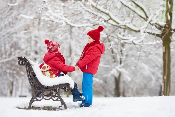 Dos adorables niños, hermanos, jugando en un parque nevado, ho — Foto de Stock
