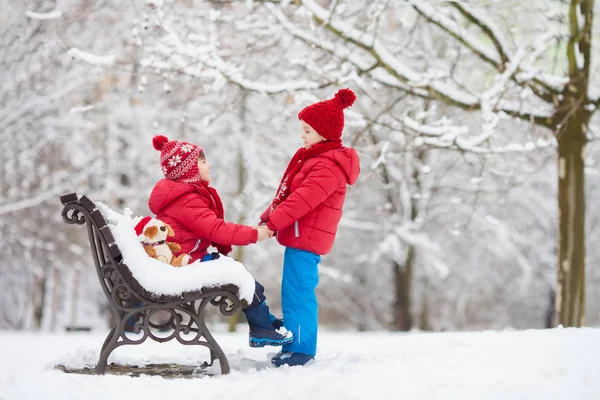 Twee schattige kinderen, jongen broers, spelen in een besneeuwde park, ho — Stockfoto