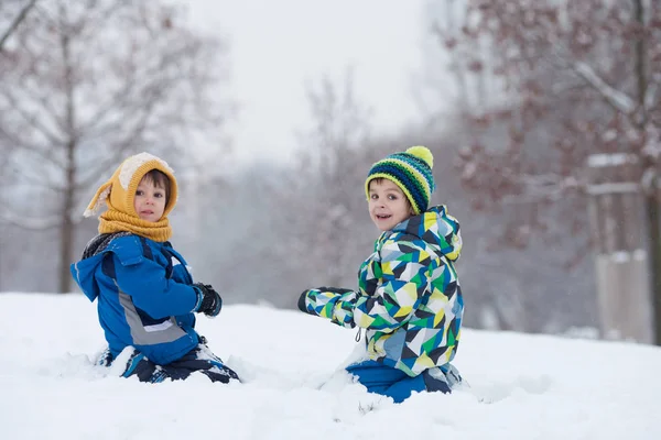 İki erkek, kardeşler, kartopu ile karda oynarken