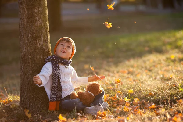 Menino adorável com ursinho de pelúcia no parque no dia de outono — Fotografia de Stock