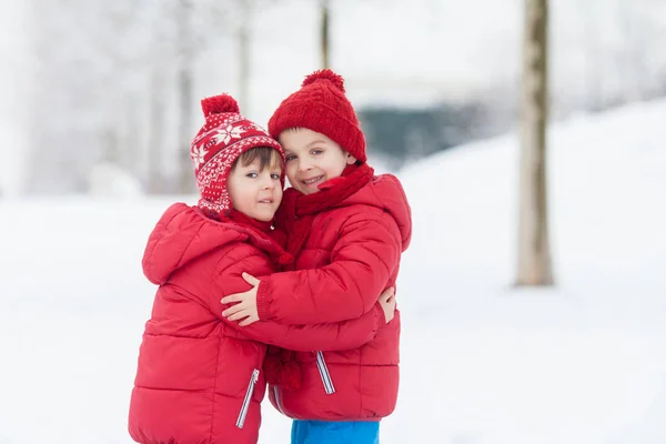 Zwei entzückende Kinder, junge Brüder, die in einem verschneiten Park spielen — Stockfoto