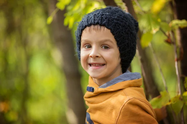 公園内の美しい少年の秋の肖像画 — ストック写真