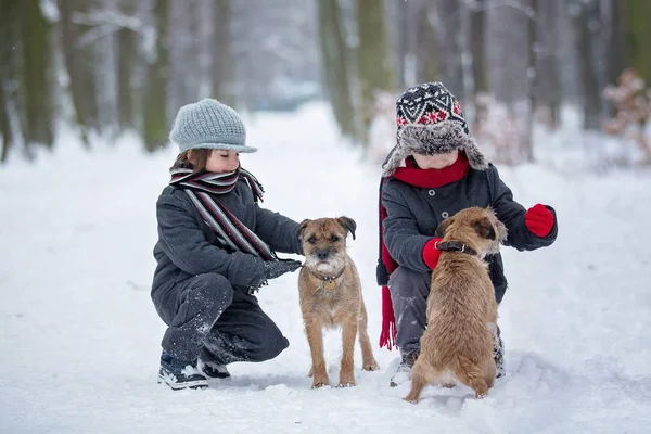 Sevimli çocuk, erkek kardeşler, onların köpekleri ile karda oyun — Stok fotoğraf